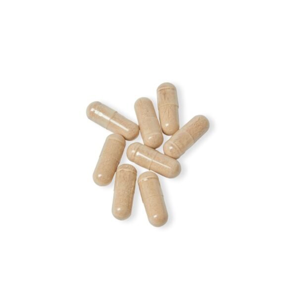Close-up image showing Zestifica Brain Support Complex supplement capsules (60 Capsules)