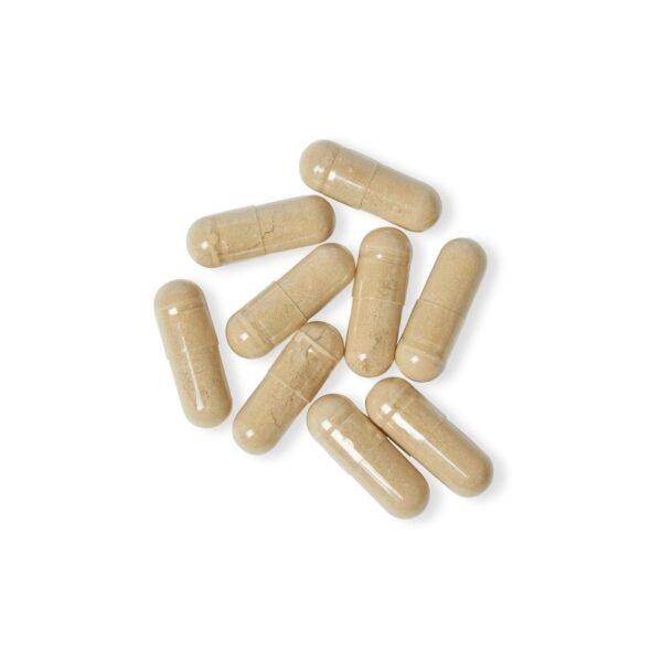Close-up image showing Zestifica Magnesium Zinc supplement capsules (90 Capsules)