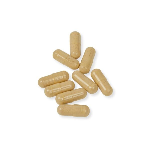 Close-up image showing Zestifica Multivitamin for Men supplement capsules (60 Capsules)