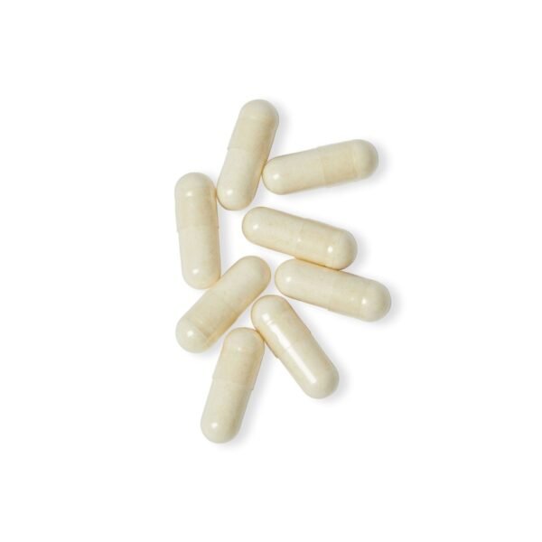 Close-up image showing Zestifica Probiotics supplement capsules (60 Capsules)