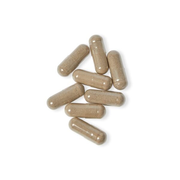 Close-up image showing Zestifica Sea Moss supplement capsules (60 Capsules)